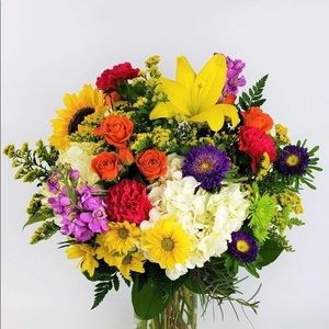 Meet your Posher, Alice